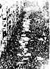 1� de Maio de 1974