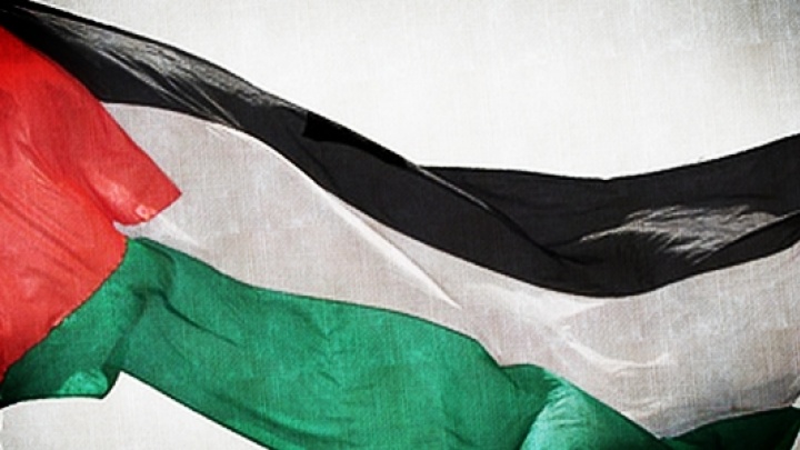 PCP recomenda ao Governo que reconheça o Estado da Palestina