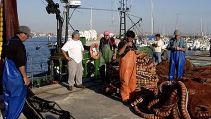 Aprovado relatório sobre a alteração do regulamento relativo ao Fundo Europeu das Pescas