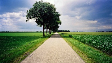 Glifosato – A demagogia não é resposta a questões sérias