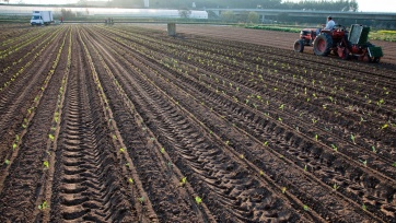 O País precisa de substituir as importações pela produção nacional