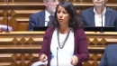 O Governo PS está a preparar a TAP para entregá-la a uma multinacional