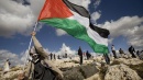 Solidariedade com o povo palestiniano face à violência de Israel