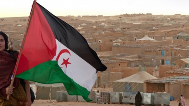 Solidarity with Sahrawi political prisoners in Moroccan prisons