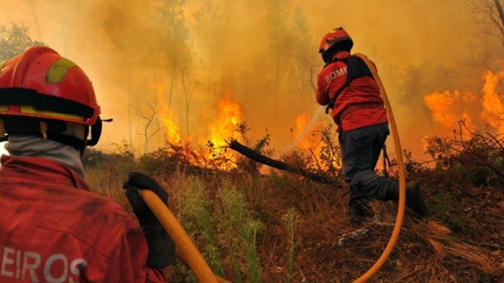 Sobre os Fogos Florestais