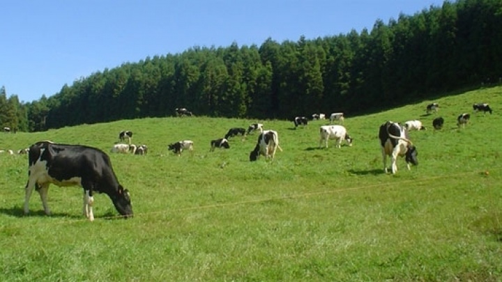 PCP na defesa do desenvolvimento da Agricultura e da produção nacional