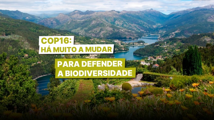 COP16: há muito a mudar para defender a biodiversidade