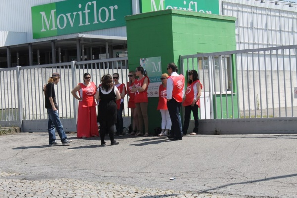 Moviflor - Braga