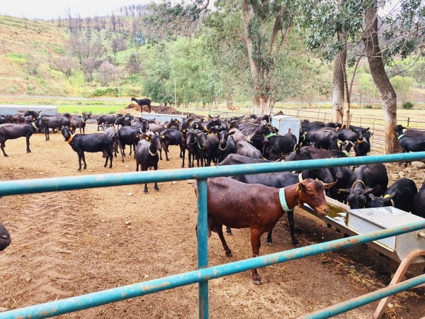 Jornadas Parlamentares do PCP na Serra da Estrela