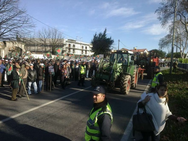 Manifestação de agricultores em defesa da produção nacional