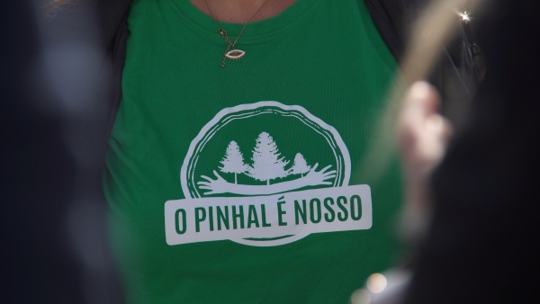Visita ao Pinhal de Leiria