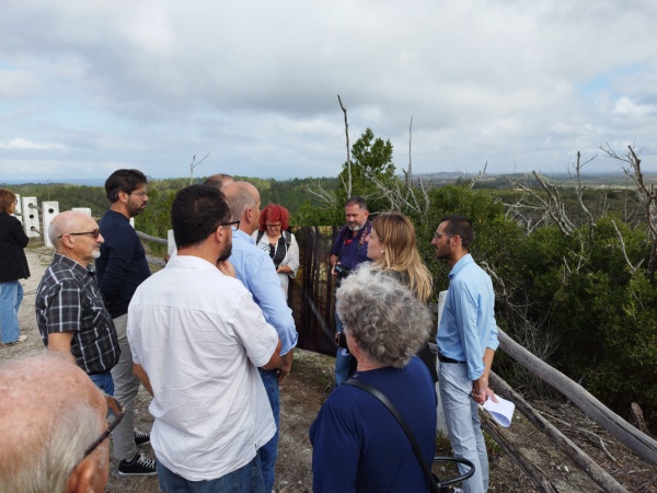 Visita ao Pinhal de Leiria