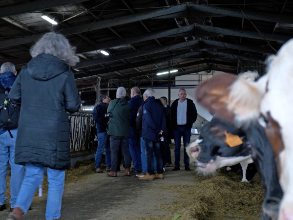 Visita a Exploração Leiteira