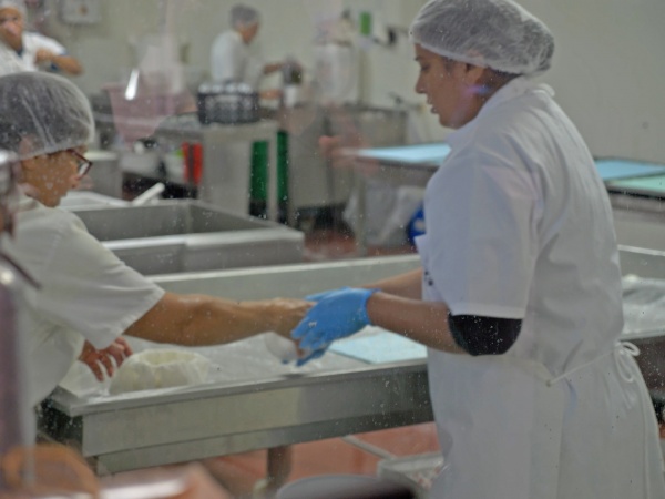 Visita a Exploração Leiteira