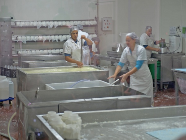 Visita a Exploração Leiteira